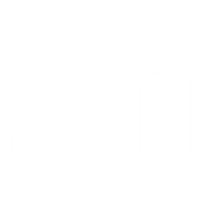 LOGO 2WIN ORACLE NETSUITE CHILE PARTNER