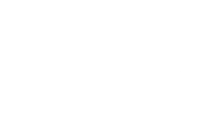 Oracle NetSuite Solution Provider Partner Logo