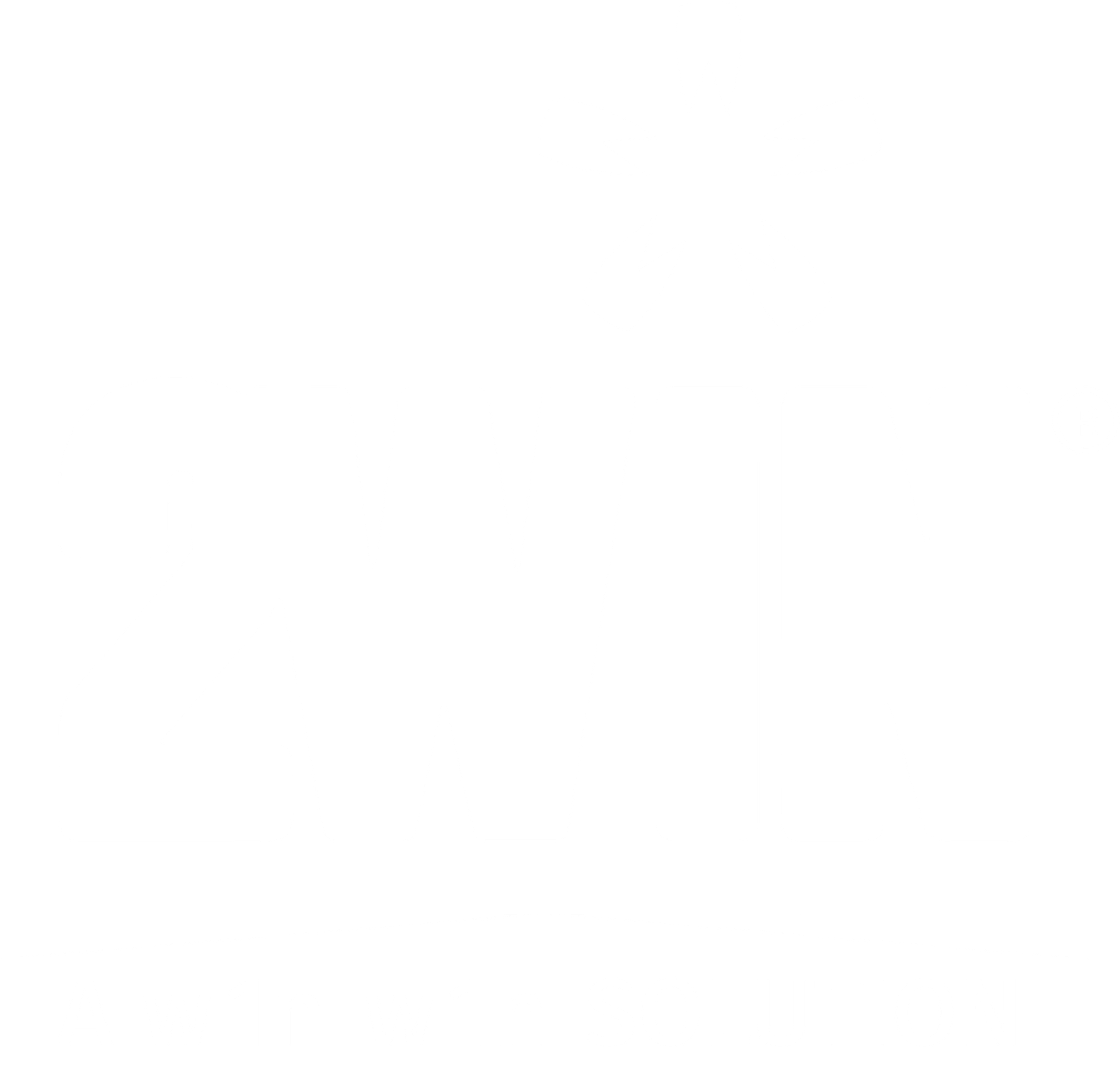 LOGO 2WIN ORACLE NETSUITE CHILE PARTNER